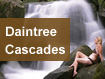 Daintree Cascades